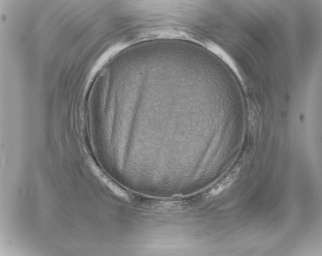 X0000059231381200510281854