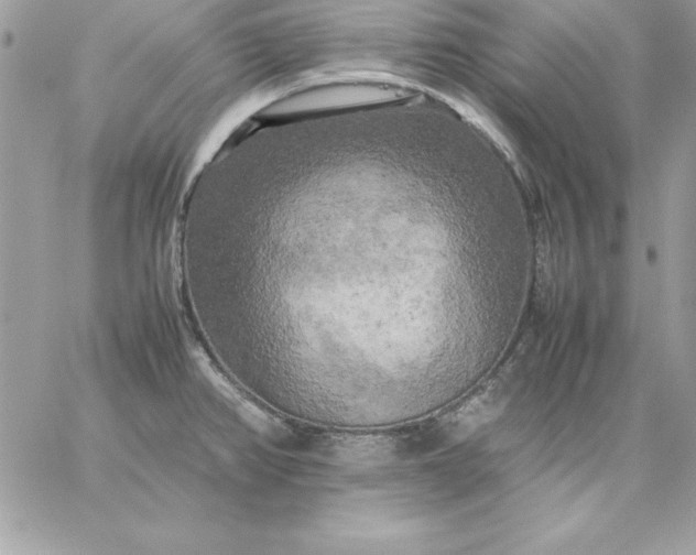 X0000059231382200510281854