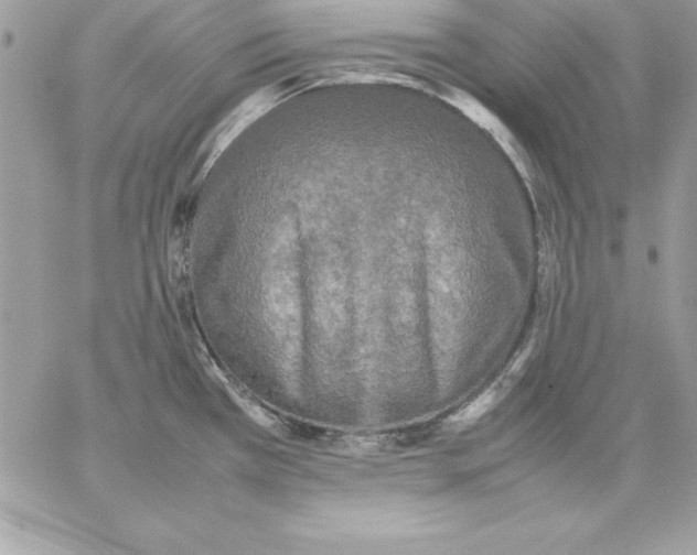 X0000059231385200510281854