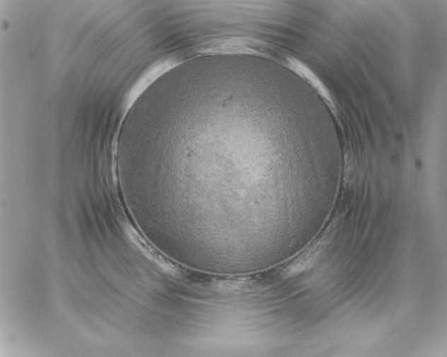 X0000059231386200510281854