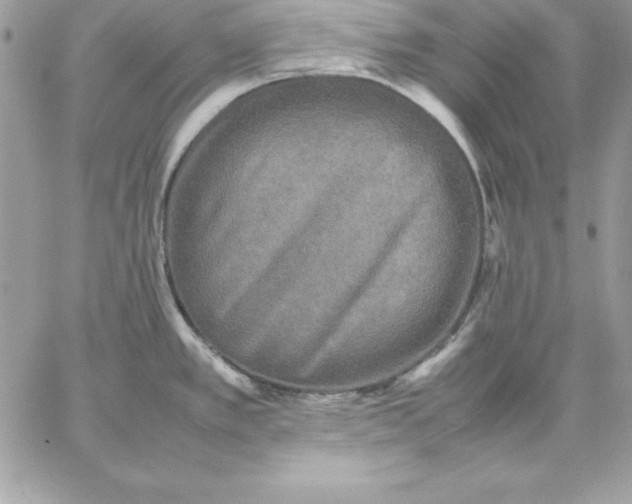 X0000059231389200510281854