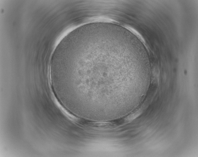 X0000059231391200510281854