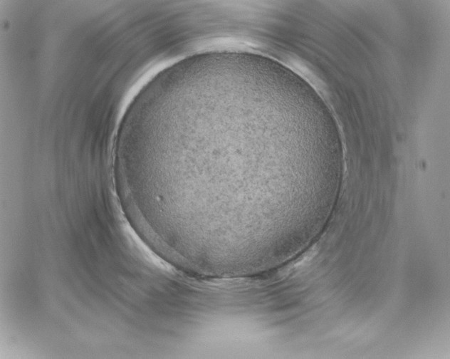 X0000059231392200510281854