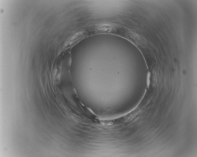 X0000059231394200510281853