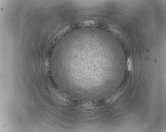 X0000059231395200510281853