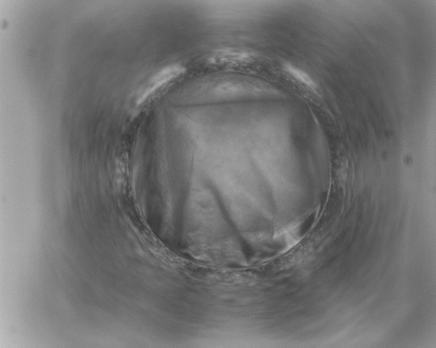 X0000059231397200510281853