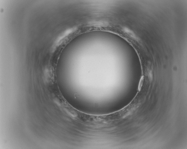 X0000059231398200510281853