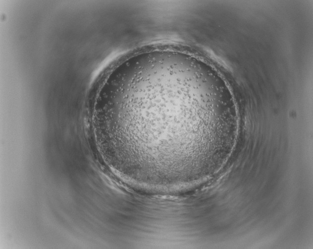 X0000059231400200510281853