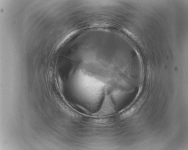 X0000059231401200510281853