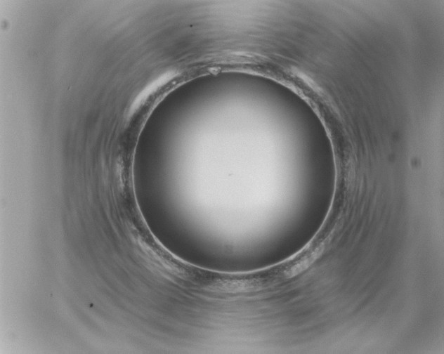 X0000059231402200510281853