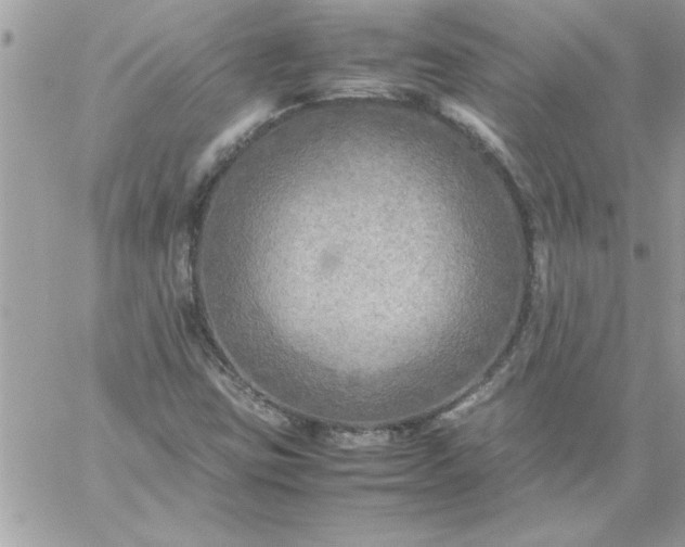 X0000059231403200510281853