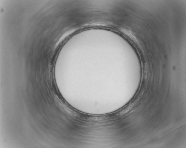 X0000059231404200510281853