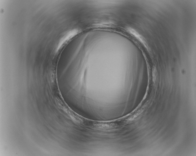 X0000059231405200510281854