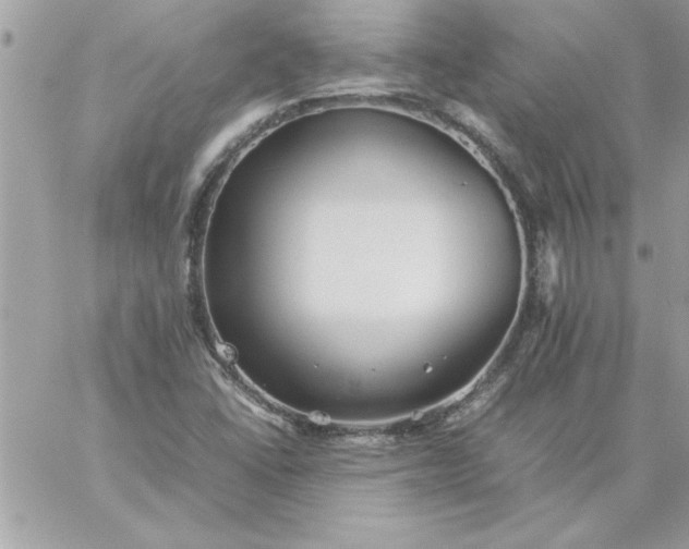 X0000059231406200510281854