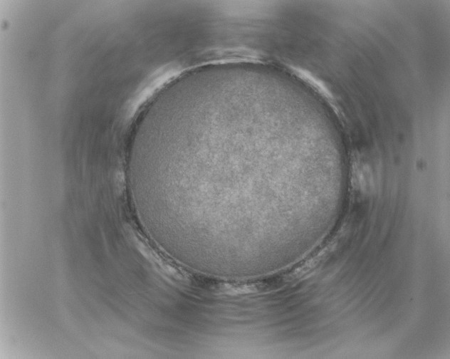 X0000059231407200510281854