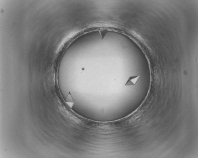 X0000059231408200510281854