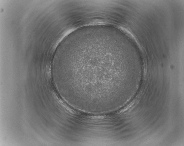 X0000059231409200510281854