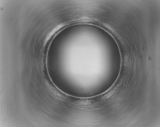 X0000059231410200510281854