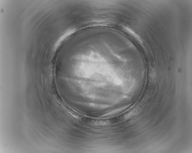 X0000059231411200510281854