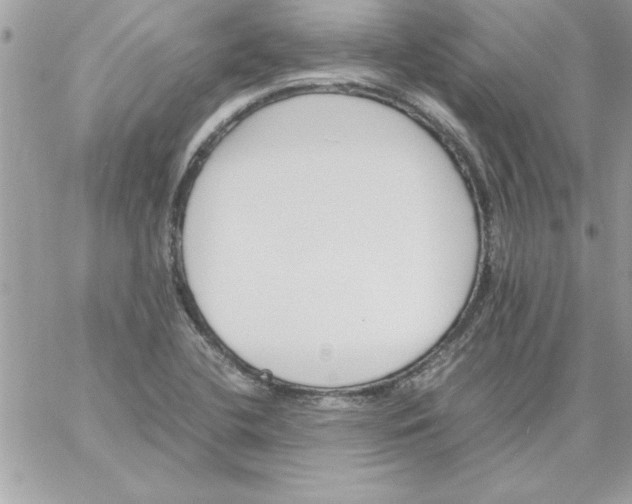 X0000059231412200510281854