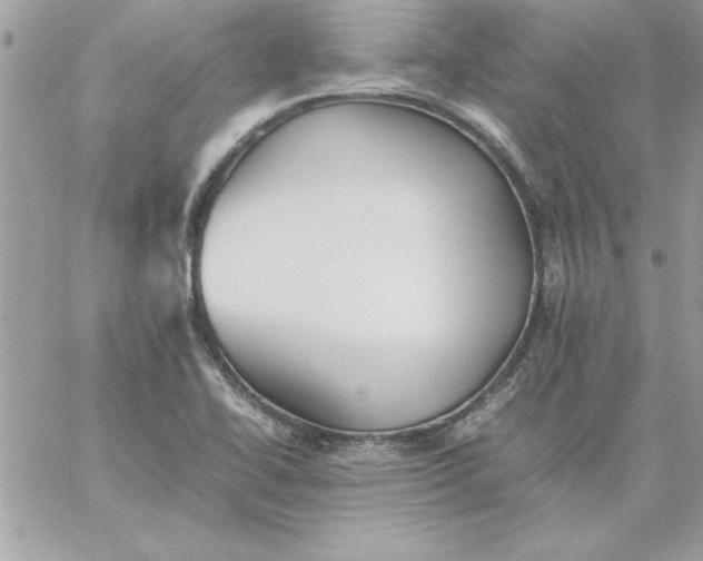 X0000059231414200510281854