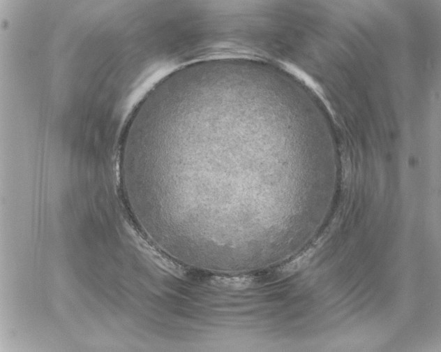 X0000059231415200510281854