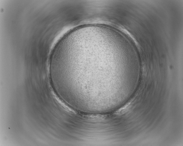 X0000059231416200510281854