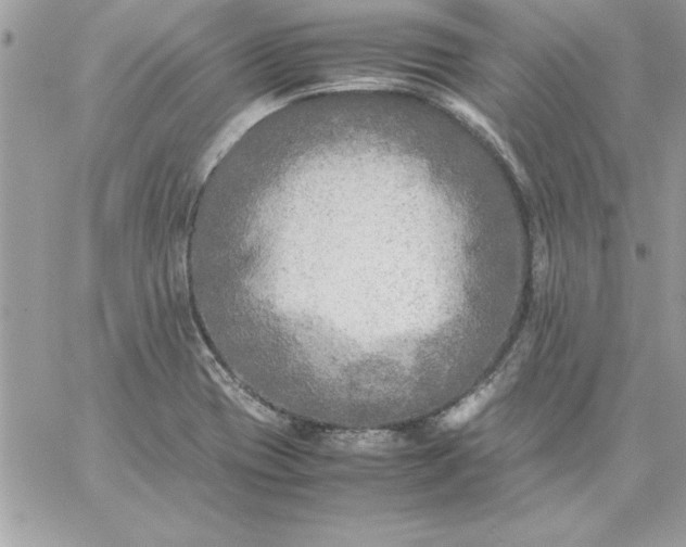 X0000059231417200510281854