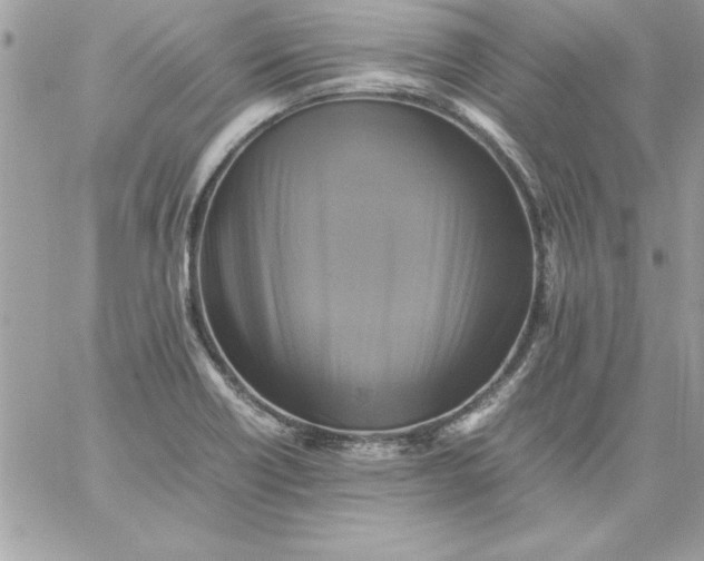 X0000059231418200510281854