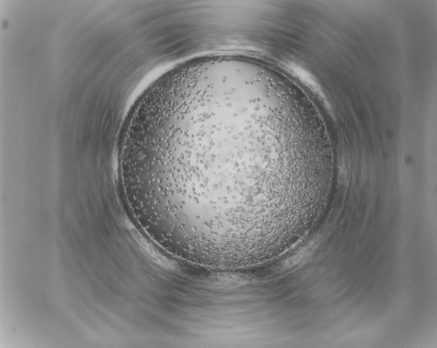 X0000059231420200510281854