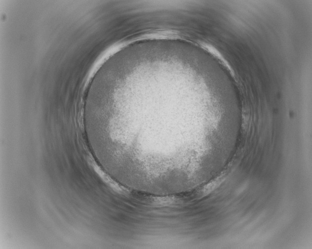 X0000059231421200510281854