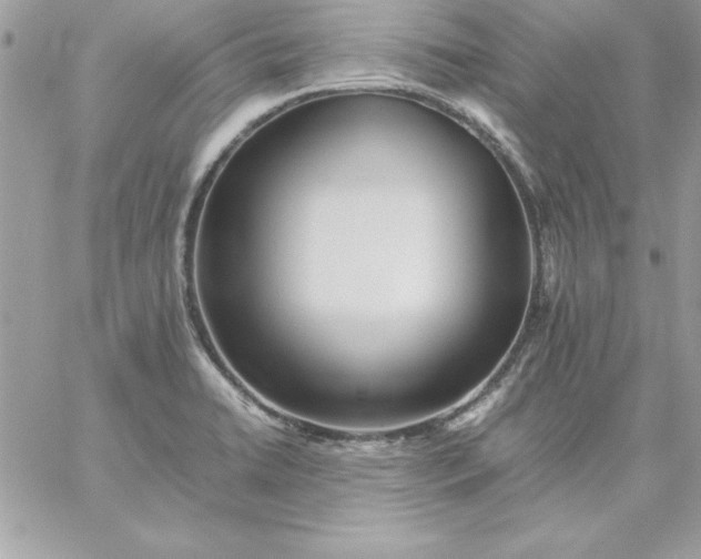 X0000059231422200510281854