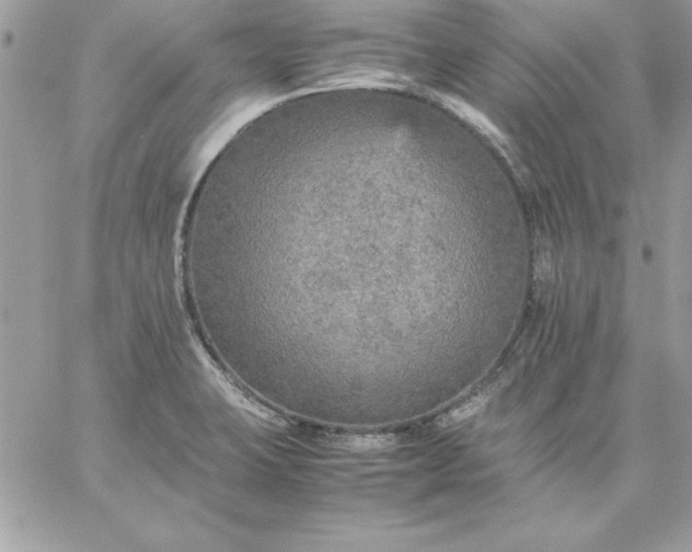 X0000059231423200510281854