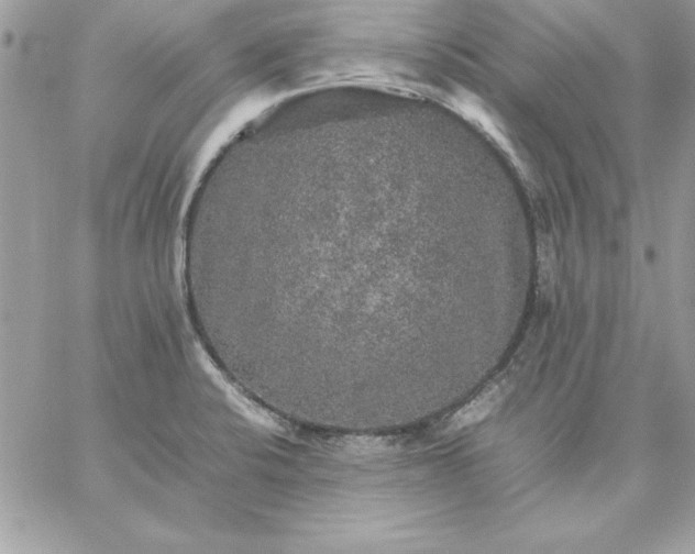 X0000059231424200510281854