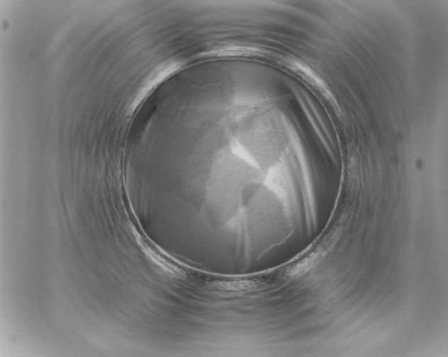 X0000059231425200510281854