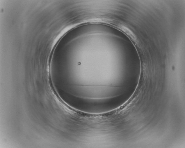 X0000059231428200510281854