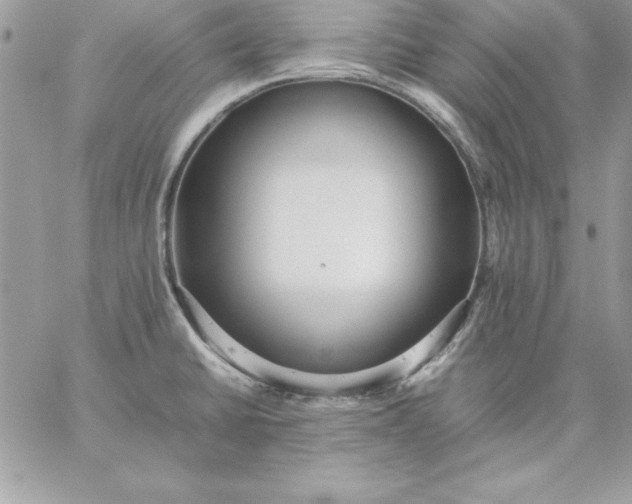 X0000059231430200510281854