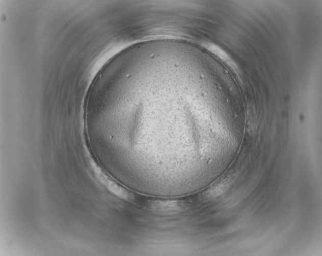 X0000059231431200510281854