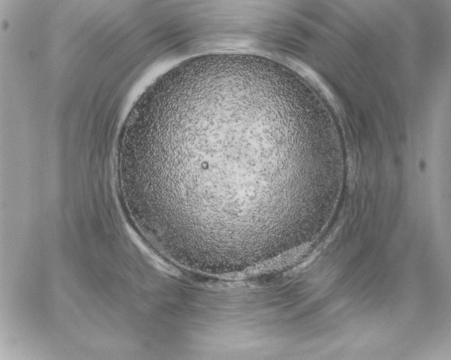 X0000059231432200510281854