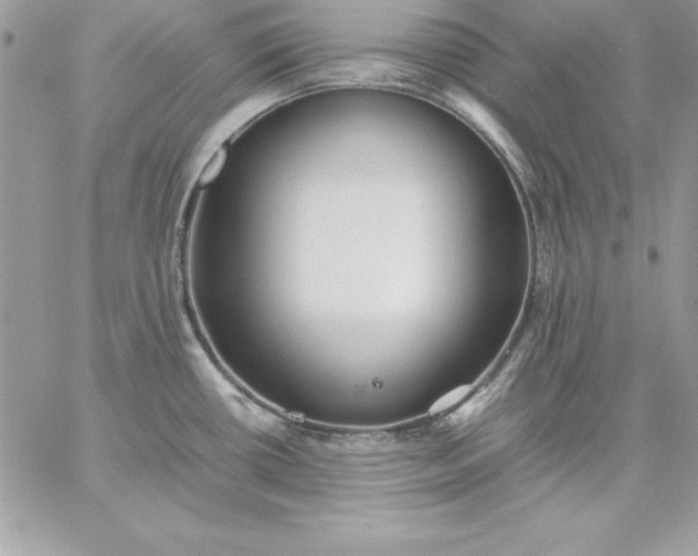 X0000059231434200510281854