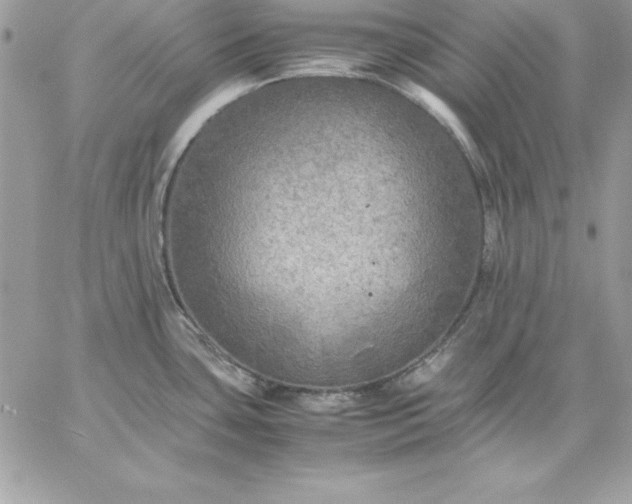 X0000059231435200510281854