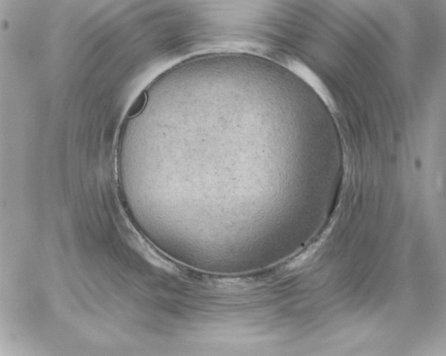 X0000059231436200510281854