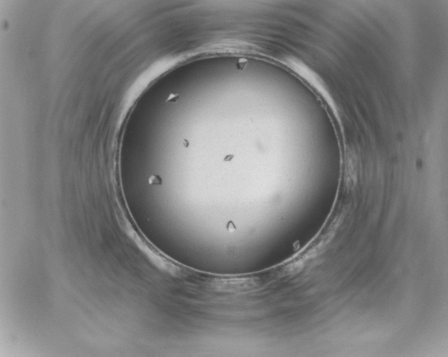 X0000059231437200510281854