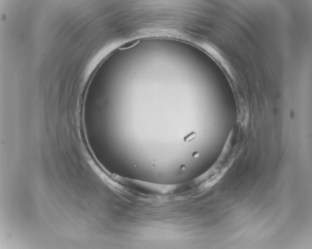 X0000059231438200510281854