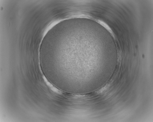 X0000059231439200510281854