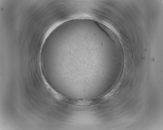 X0000059231440200510281854