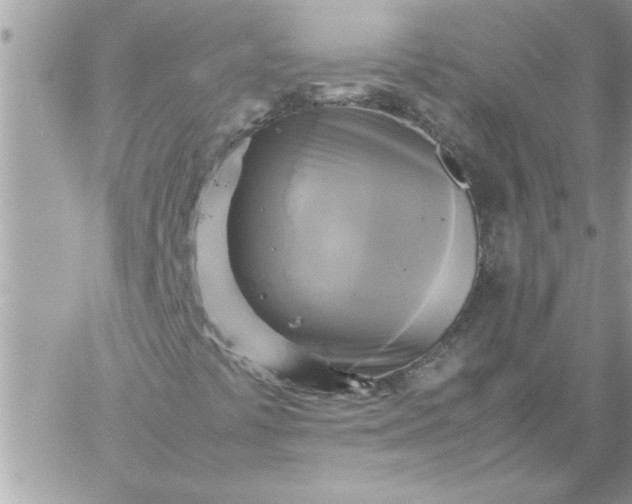 X0000059231441200510281853