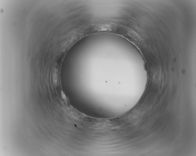 X0000059231442200510281853