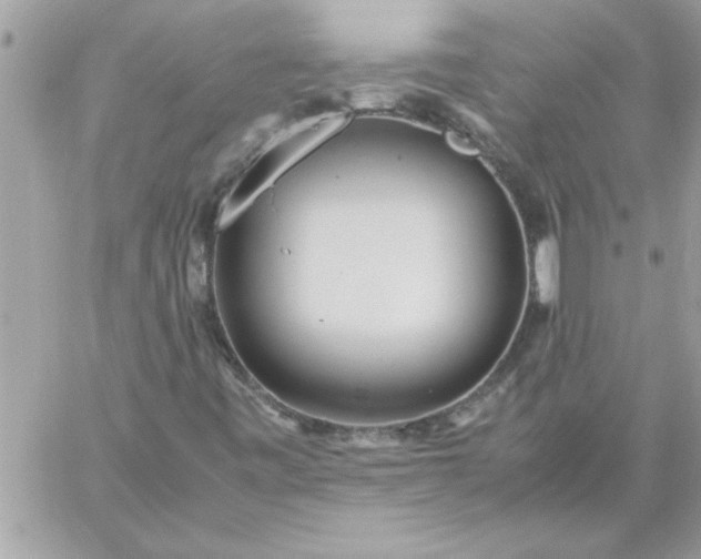 X0000059231443200510281853