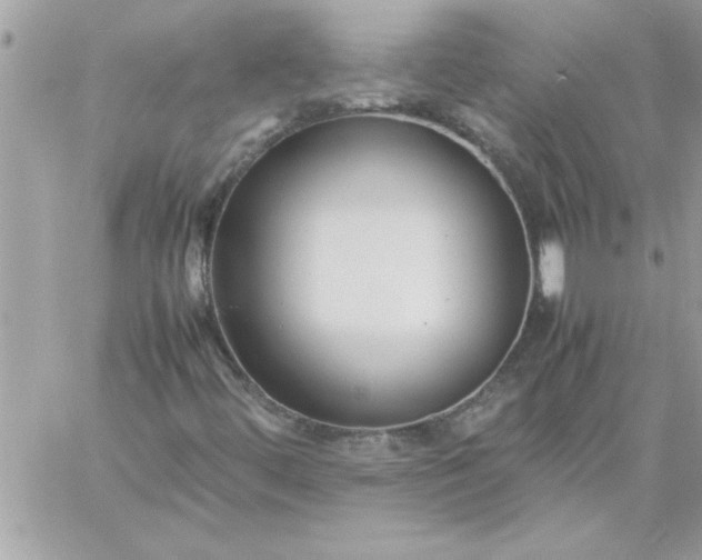 X0000059231444200510281853